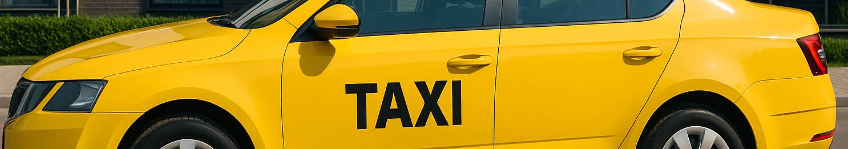 SERVICIO DE SHUTTLE